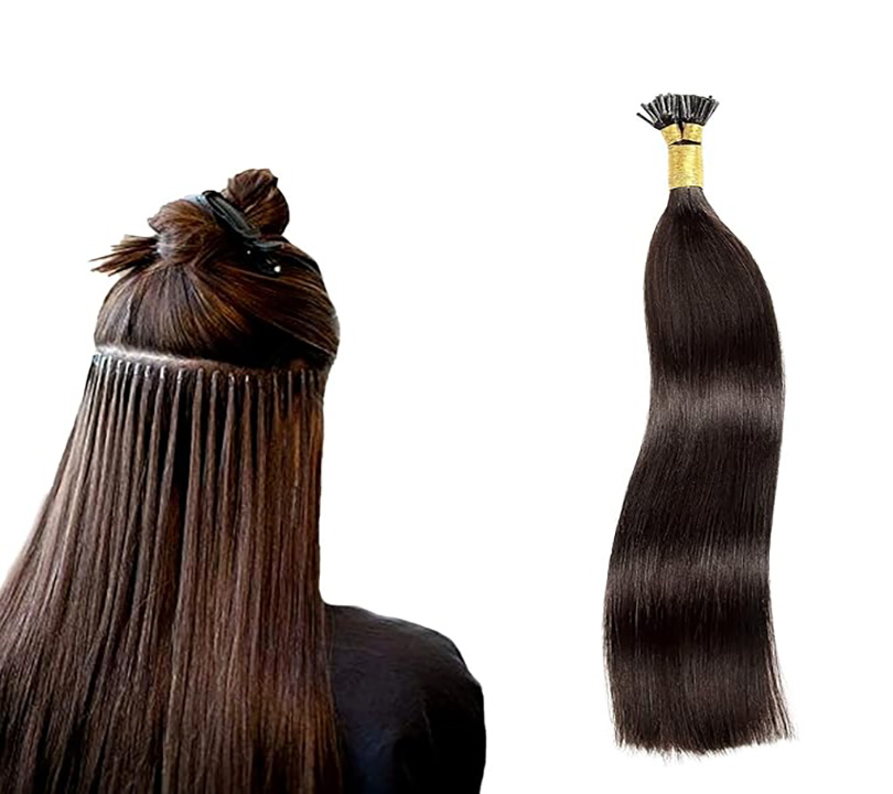 hair extension model